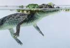 Кайман - ручные карликовые крокодилы
